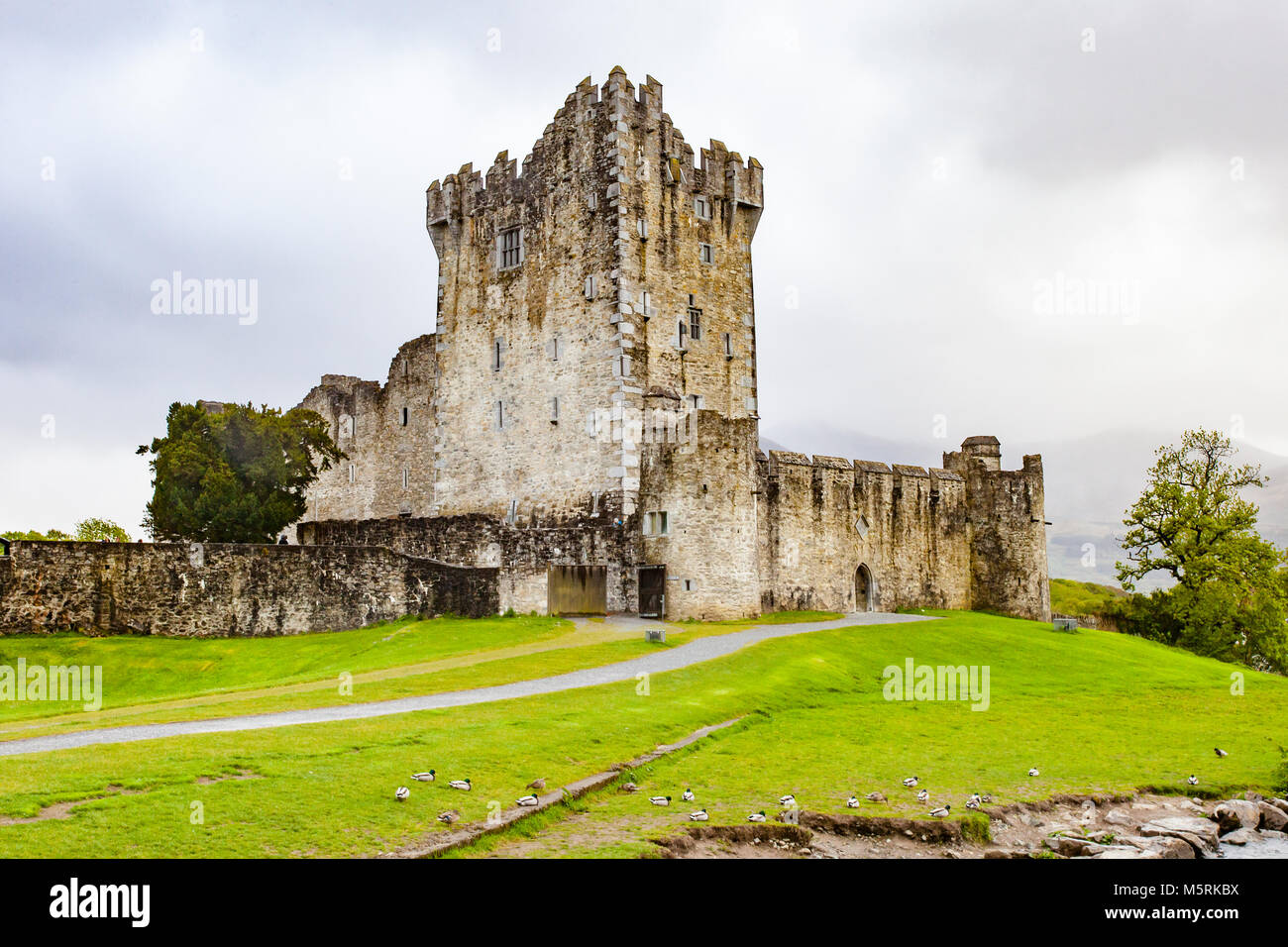 Historic Ross Castle located on the edge of Lough Leane, in Killarney National Park, County Kerry, Ireland Stock Photo