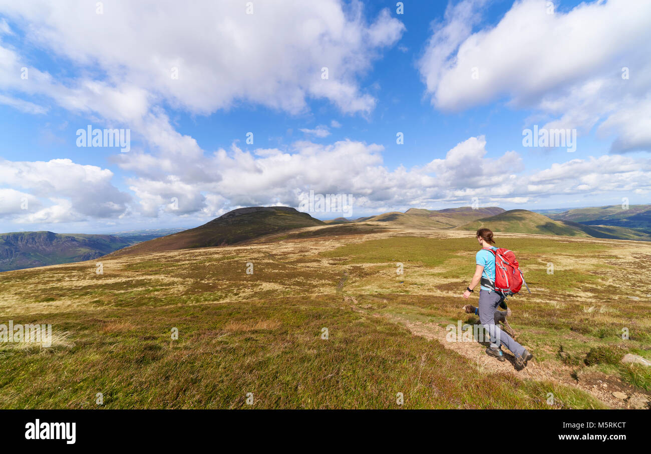 A hiker walking in the English :age District on a sunny summers day in the UK Stock Photo