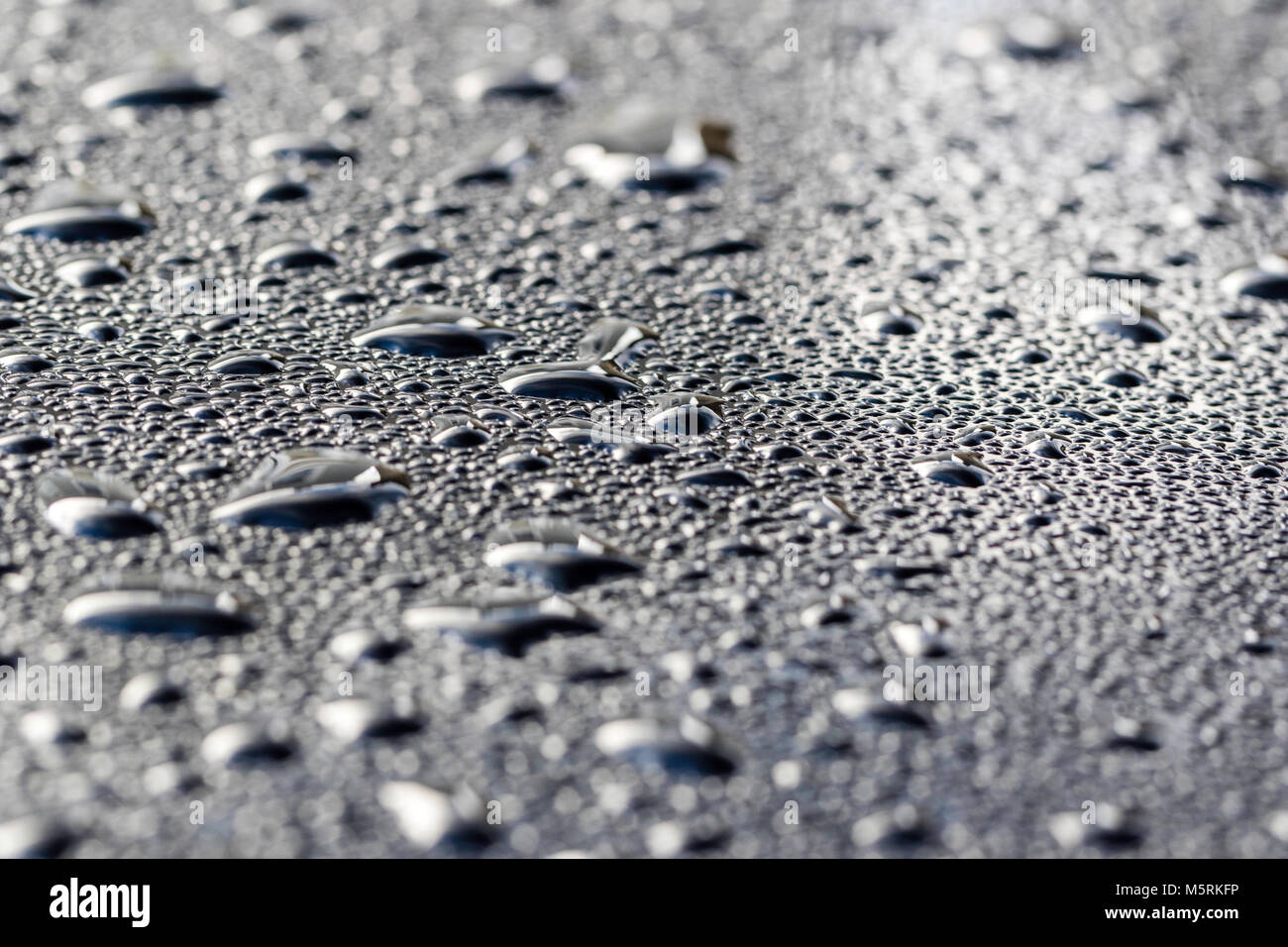 England. Early morning dew and cold weather causing condensation to form on front of car. Close up of water drops onm black metal surface. Stock Photo