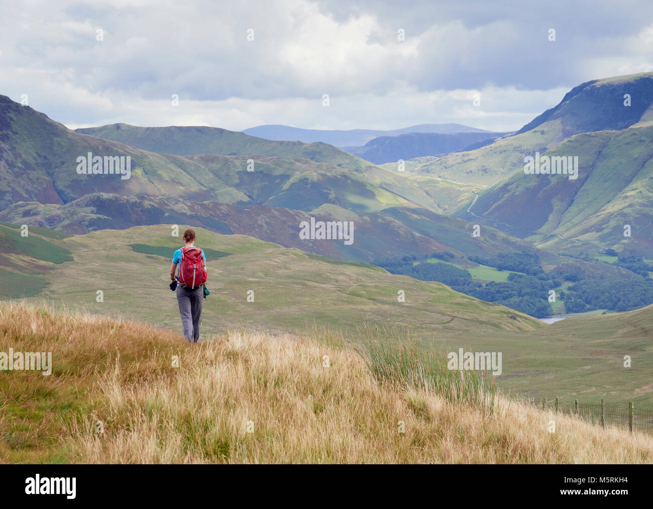 A female hiker walking off the summit of Great Borne towards Loweswater Fell in the English Lake District, UK. Stock Photo