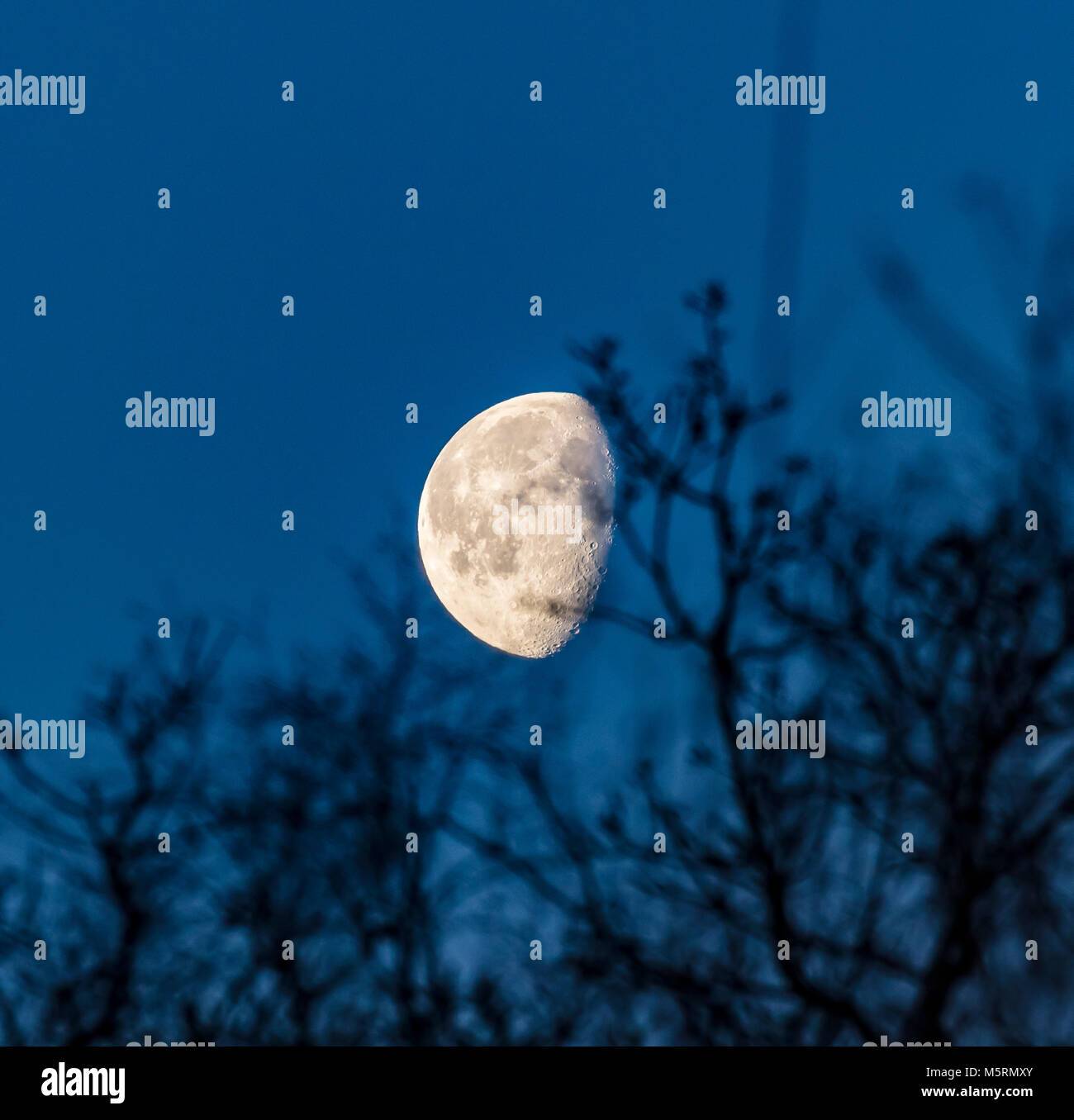 Moonrise, Waxing Gibbous Stock Photo Alamy