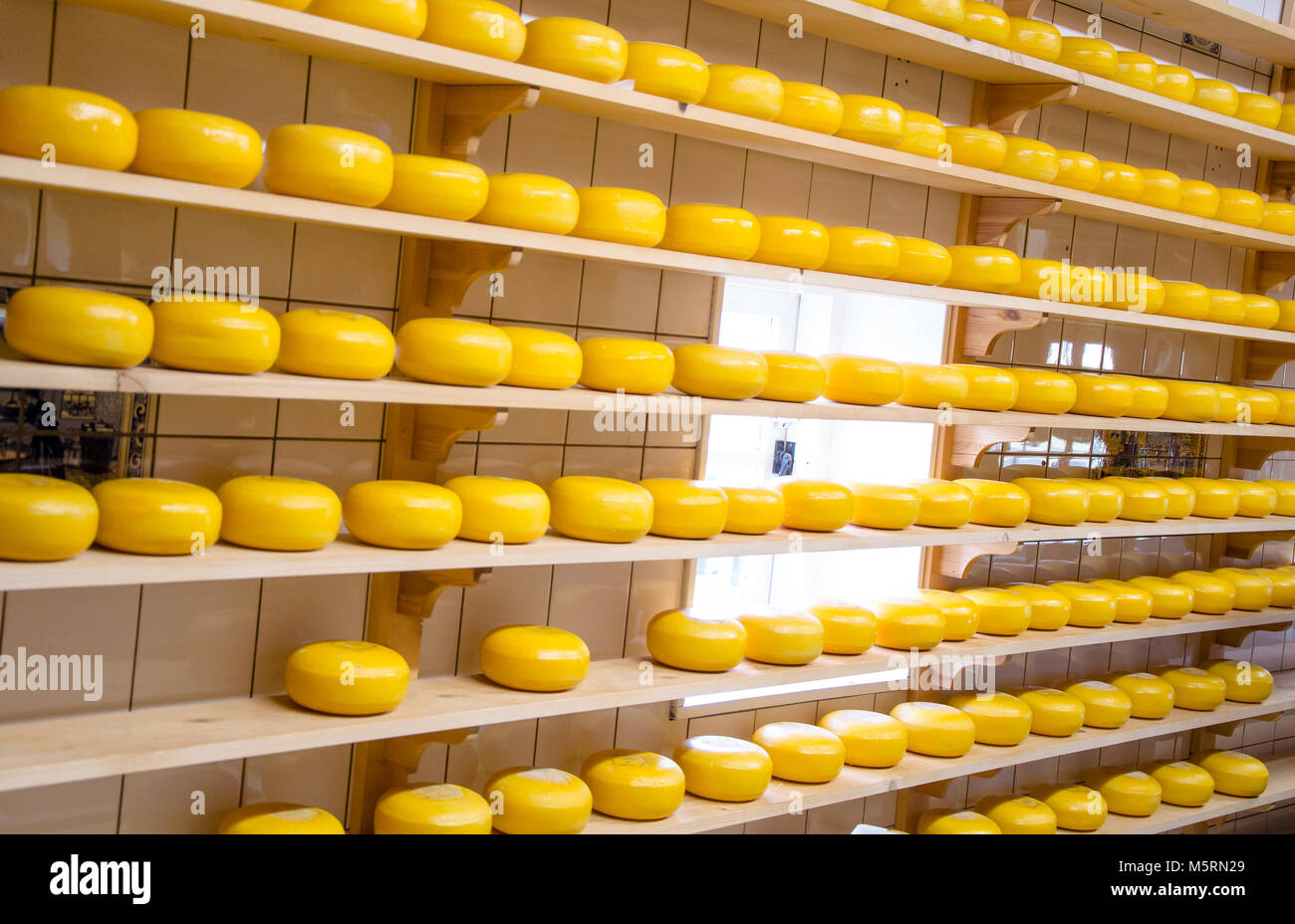 Cheese production in the countryside in Holland Stock Photo
