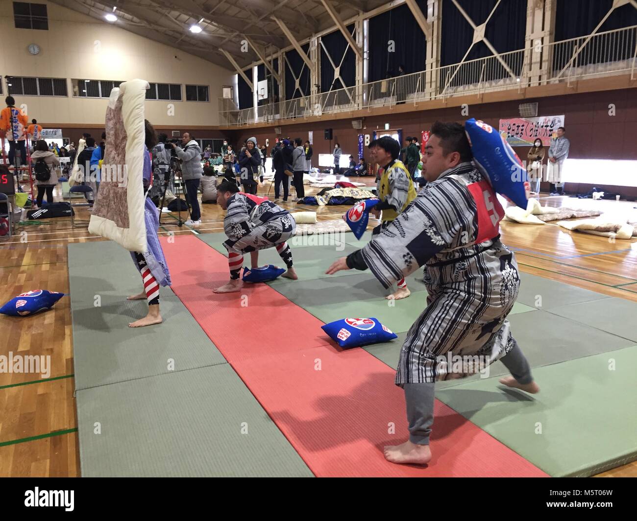 Annual pillow fight hires stock photography and images Alamy