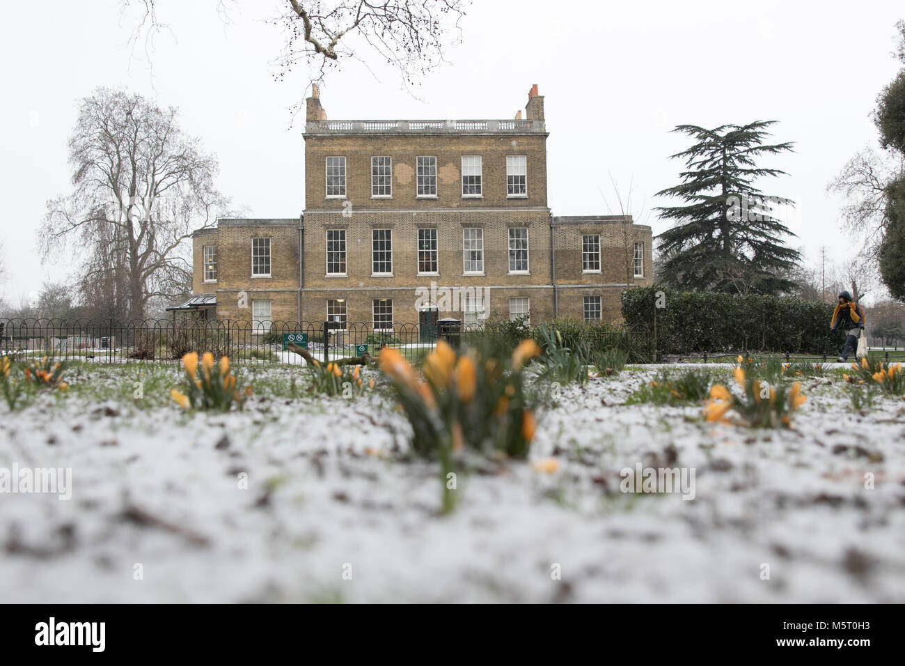 London, UK. 26th February 2018. UK weather. Snow in Stoke Newington, as the so-called 'beast from the east' arrives. Yellow crocuses in the snow in Clissold Park with Clissold House in the background. Credit: Carol Moir/Alamy Live News. Stock Photo