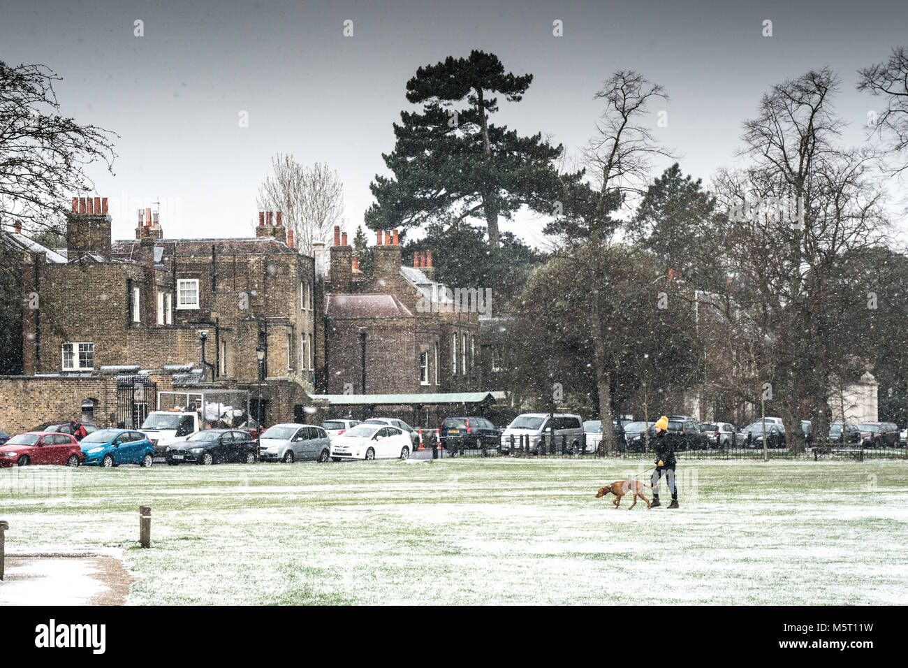 London, UK. 26th Feb, 2018. A woman walking her dog in Kew Green after the arrival of the so-called Beast from the East cold snap in London. Photo date: Monday, February 26, 2018. Photo: Roger Garfield/Alamy Credit: Roger Garfield/Alamy Live News Stock Photo