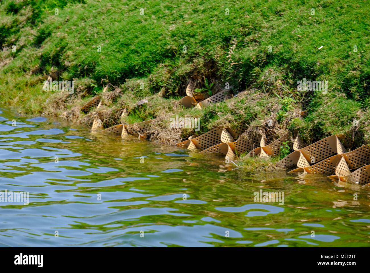 Saadiyat Island Abu Dhabi, UAE - 26th February, 2018: Artificial nesting for Egyptian Goose at Saadiyat Island. Egyptian Goose nests on ground, in tree holes or even the abandoned nests of other bird species. Credit: Fahd Khan/Alamy Live News. Stock Photo