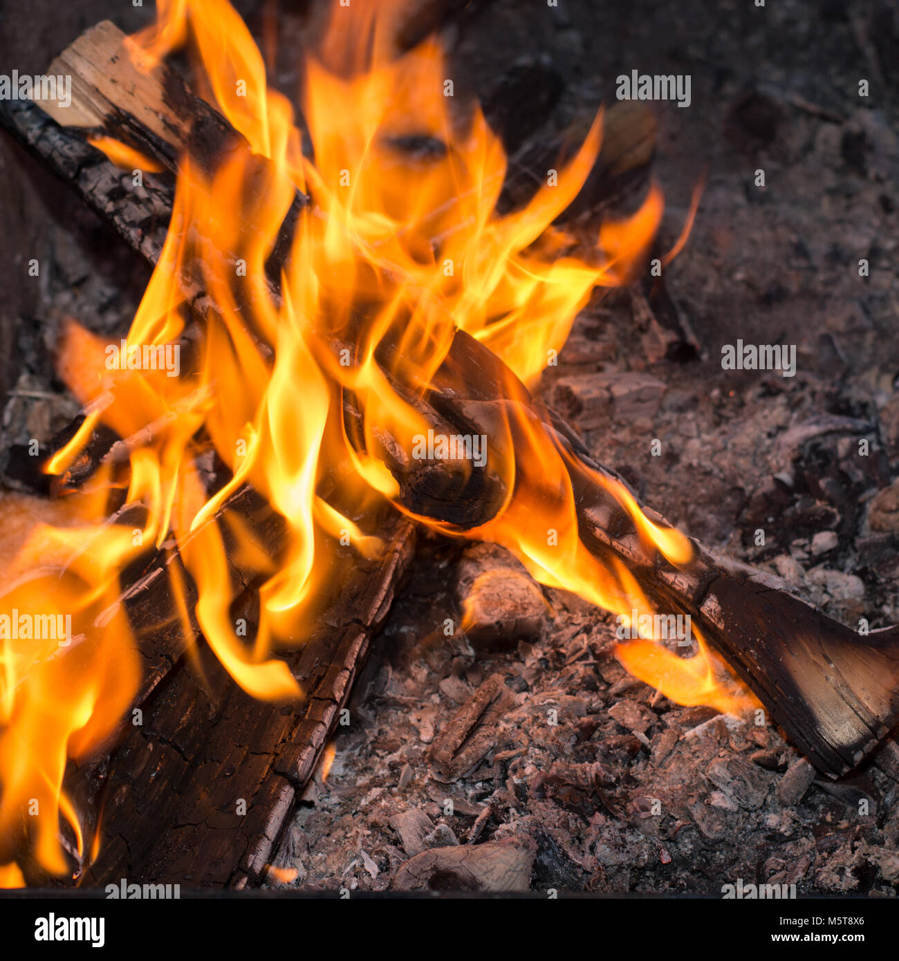 Fire in nature . Bonfire in the forest for grill. Close up Stock Photo ...