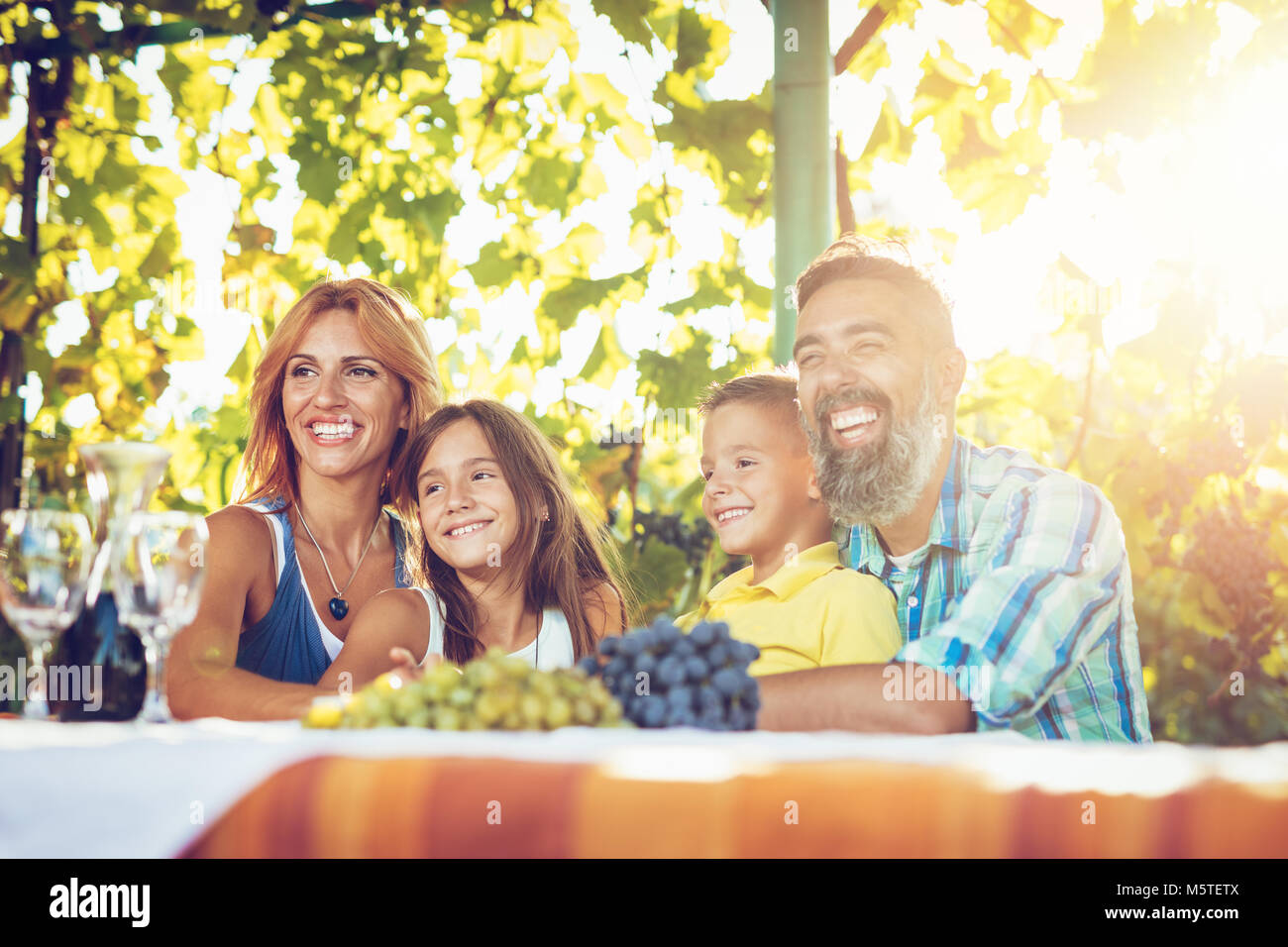 Beautiful young smiling family of four with dog having picnic at a vineyard. Stock Photo