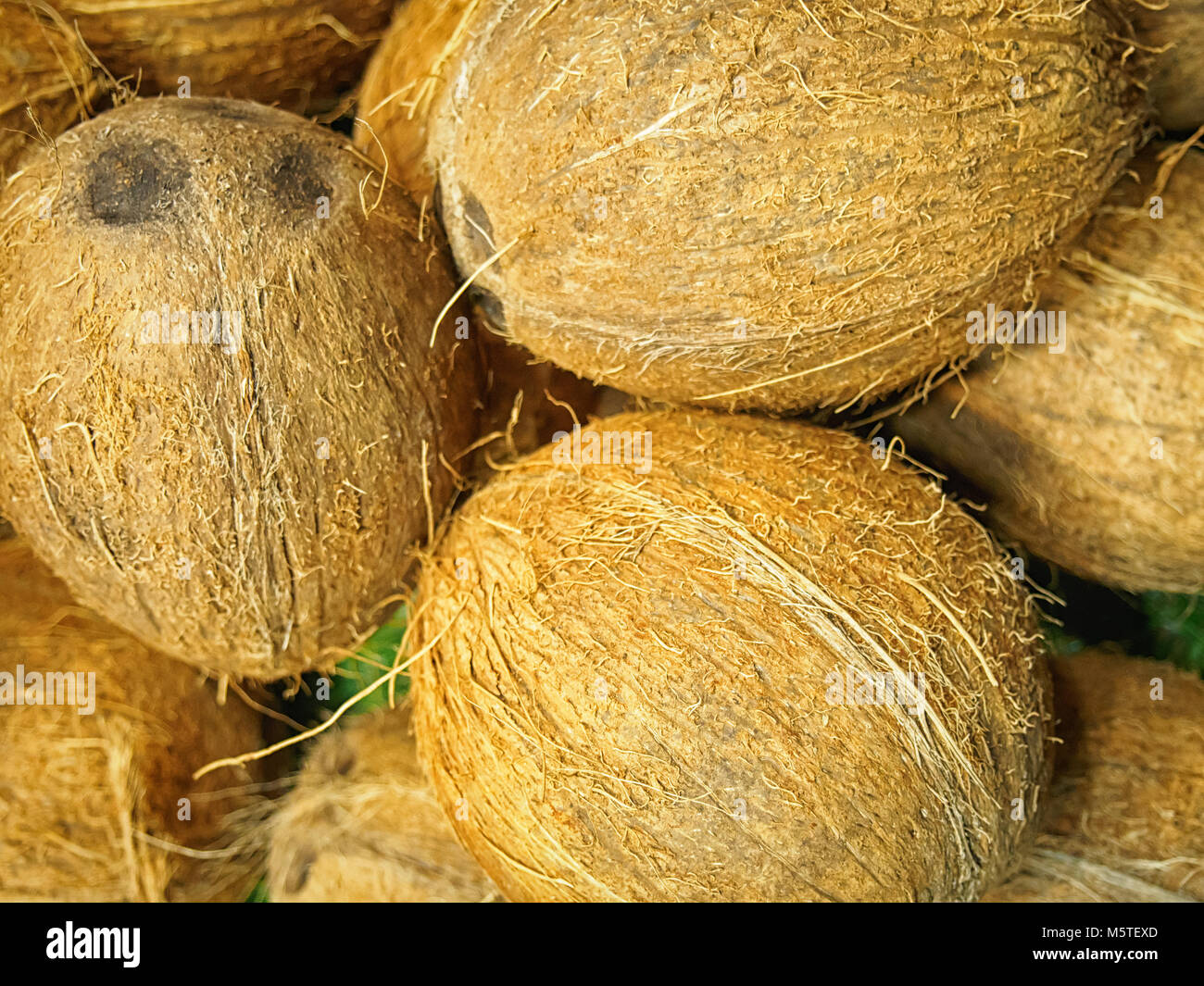Unpeeled coconuts close up Stock Photo - Alamy