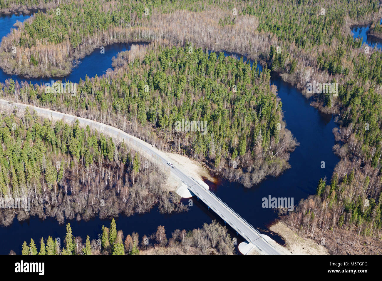 Top view the bridge across the small forest river Stock Photo