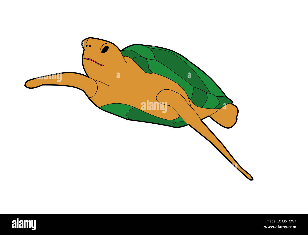 Cute Cartoon Turtle Illustration Stock Photo