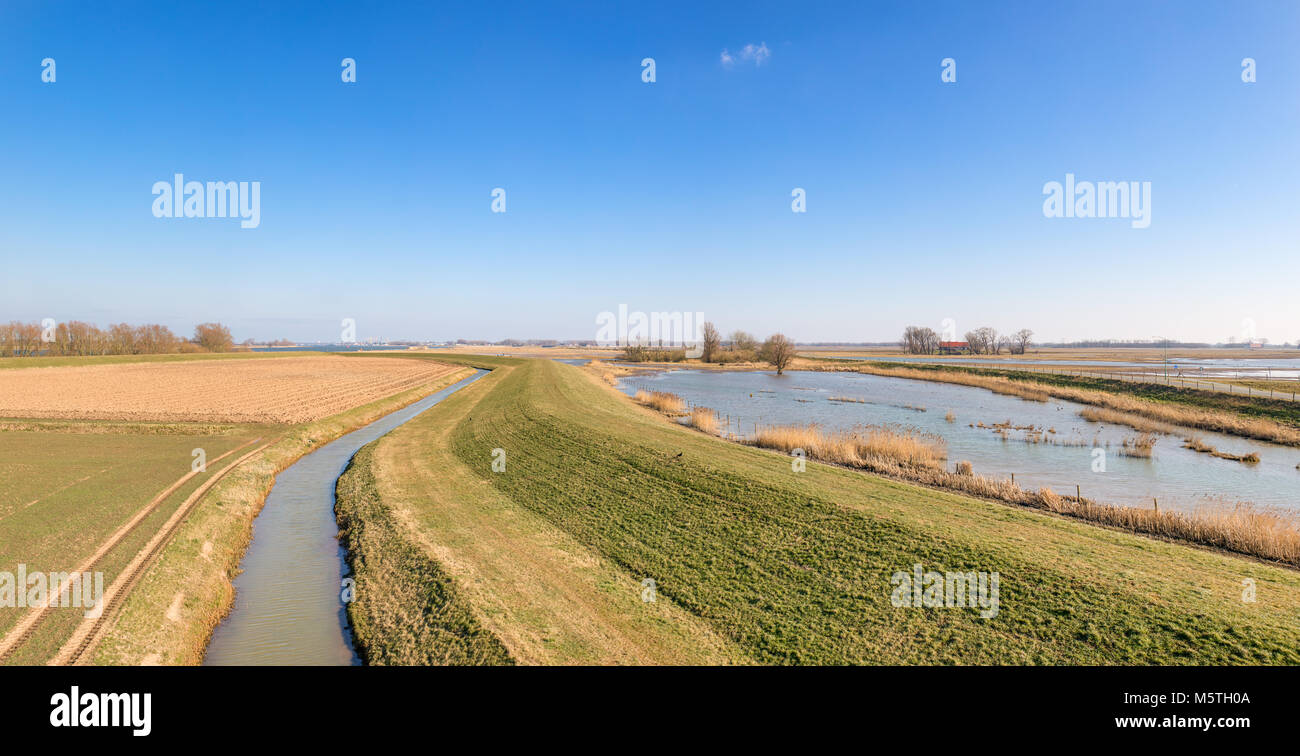 The polders - meadows, water and reed in the Natur Park 'Biesbosch' in Holland. Dutch winter landscapes on a sunny day. Stock Photo