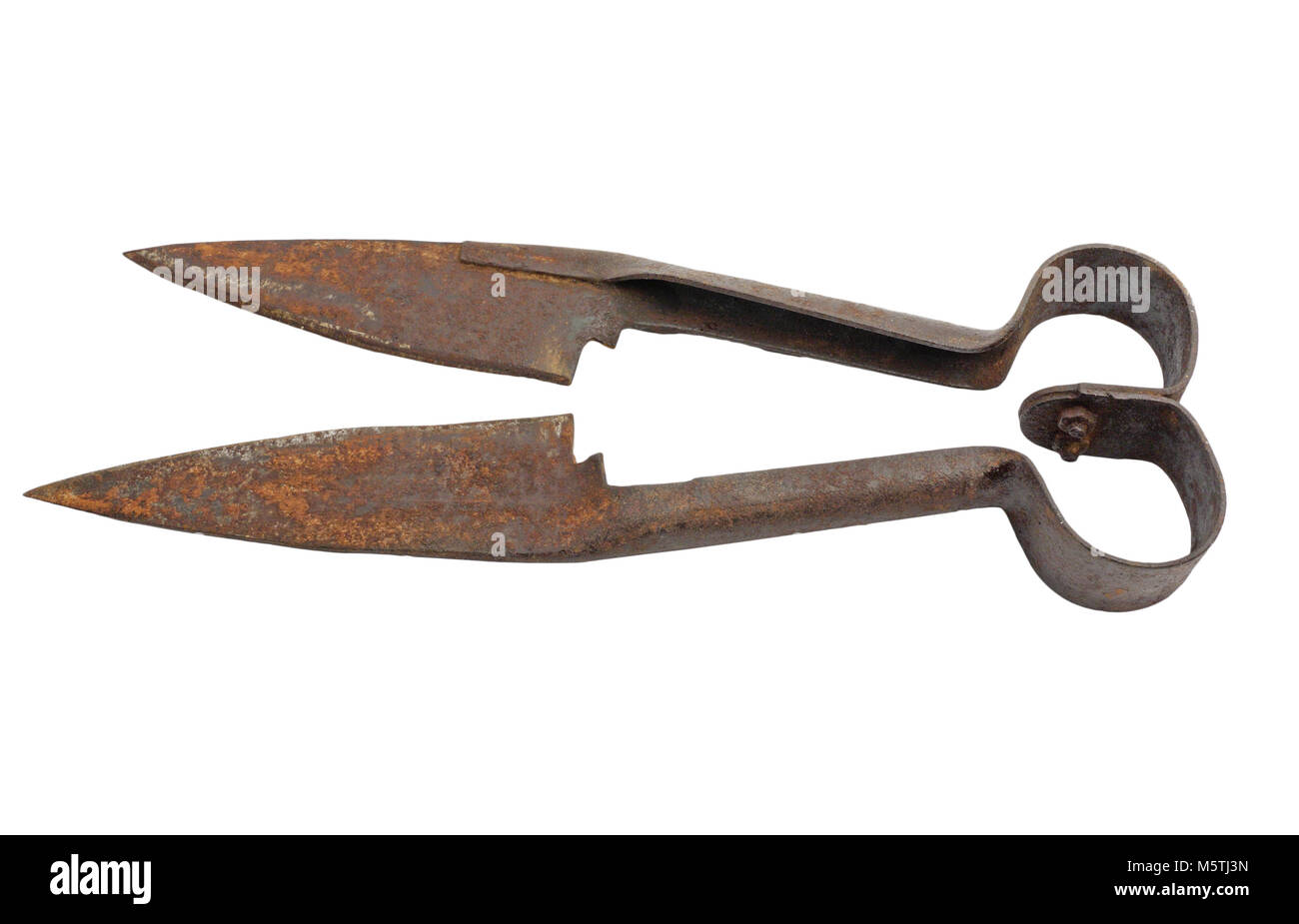 Shearing scissors Stock Photo Alamy