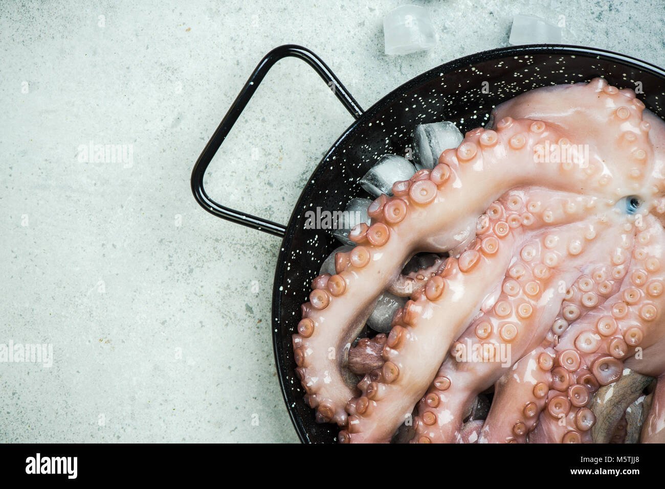 Whole octopus hi-res stock photography and images - Alamy