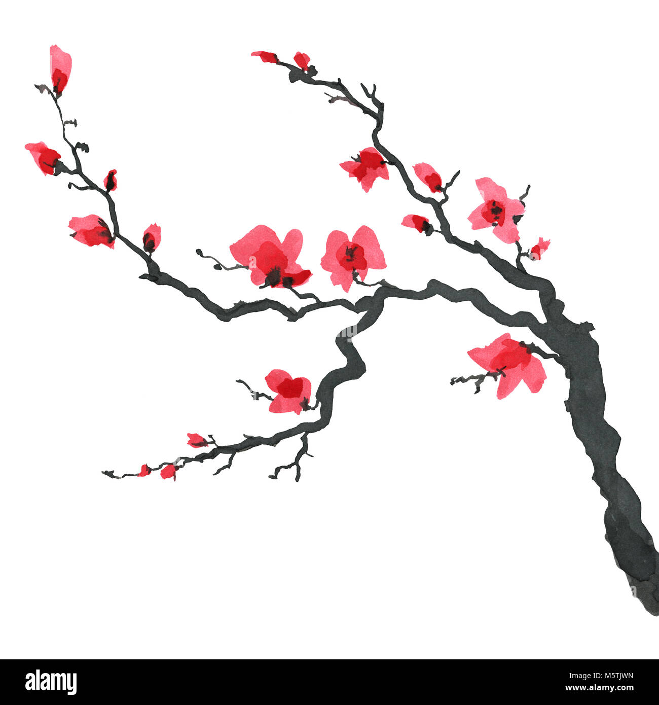 Tree branch in Japanese painting style. Traditional Beautiful watercolor  hand drawn illustration Stock Photo - Alamy