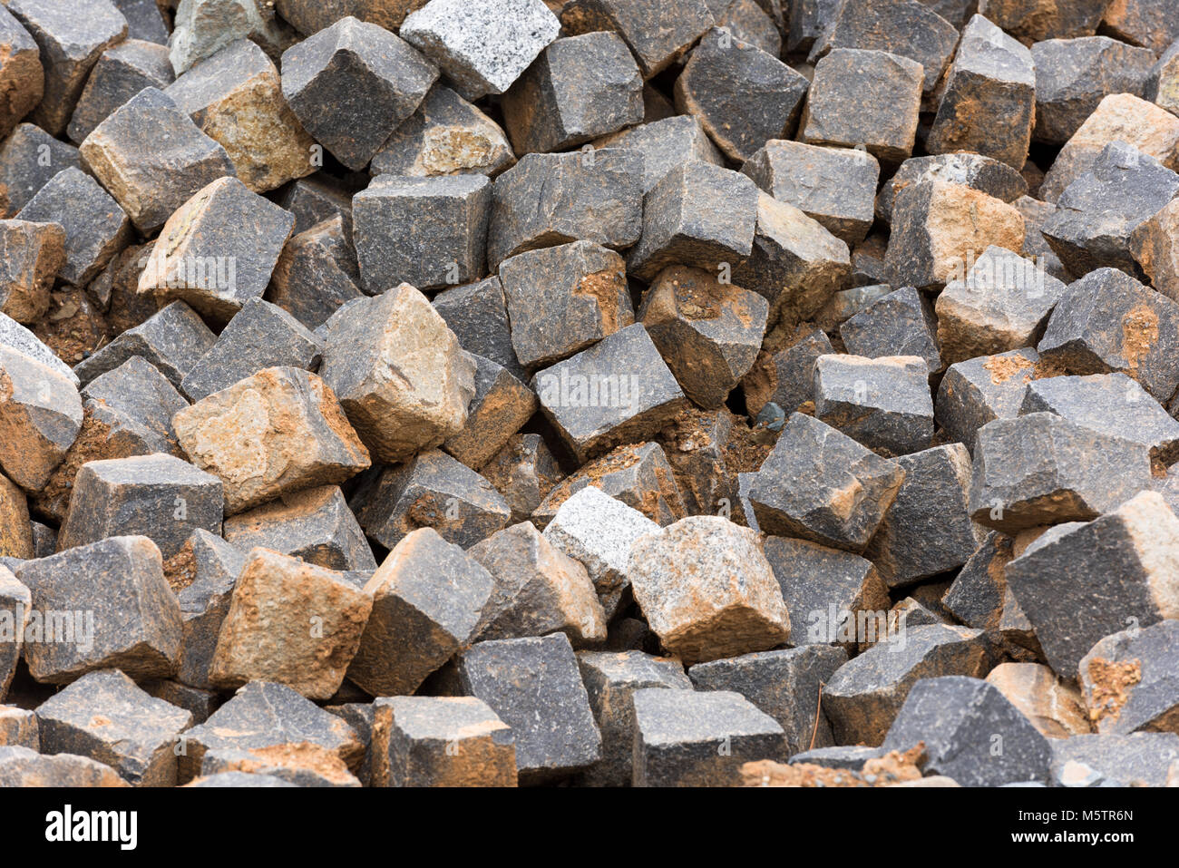 Photo gallery showcase