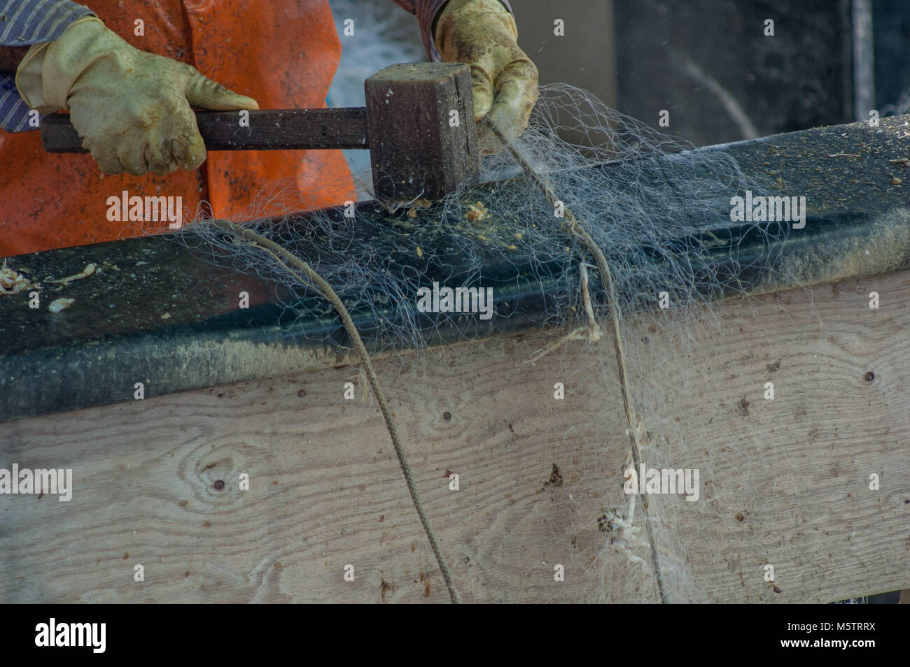 cleaning of fishing nets Stock Photo Alamy
