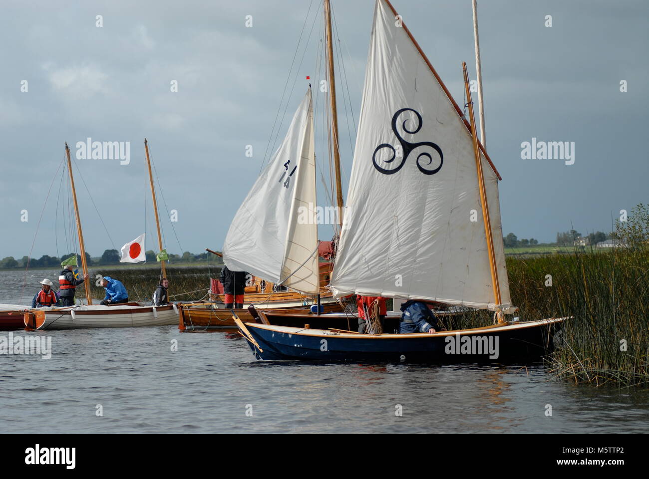 Sail boats moored up in the reeds on the banks of the Shannon River in Ireland. Stock Photo