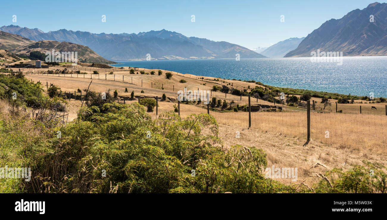 Lake Hawea , South Island, New Zealand Stock Photo - Alamy