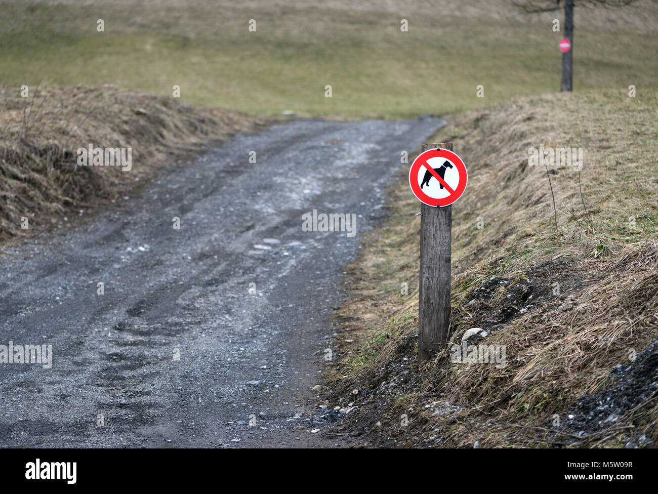 A sign with a pictogram showing no dogs beside a track. Samoens, Haute Savoie, France. Stock Photo