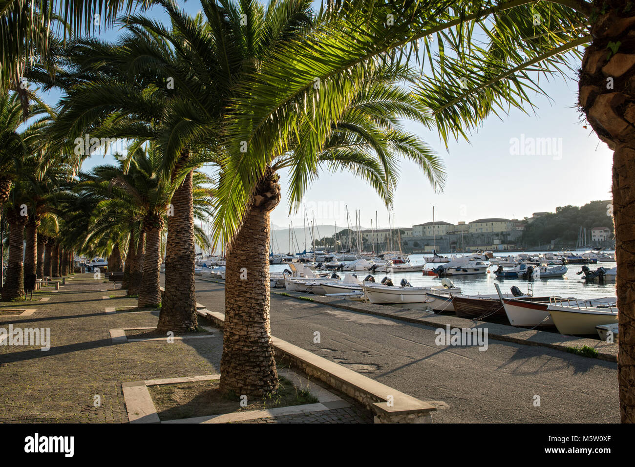 Palm trees at the port of Le Grazie, Porto Venere, Liguria, Italy Stock Photo