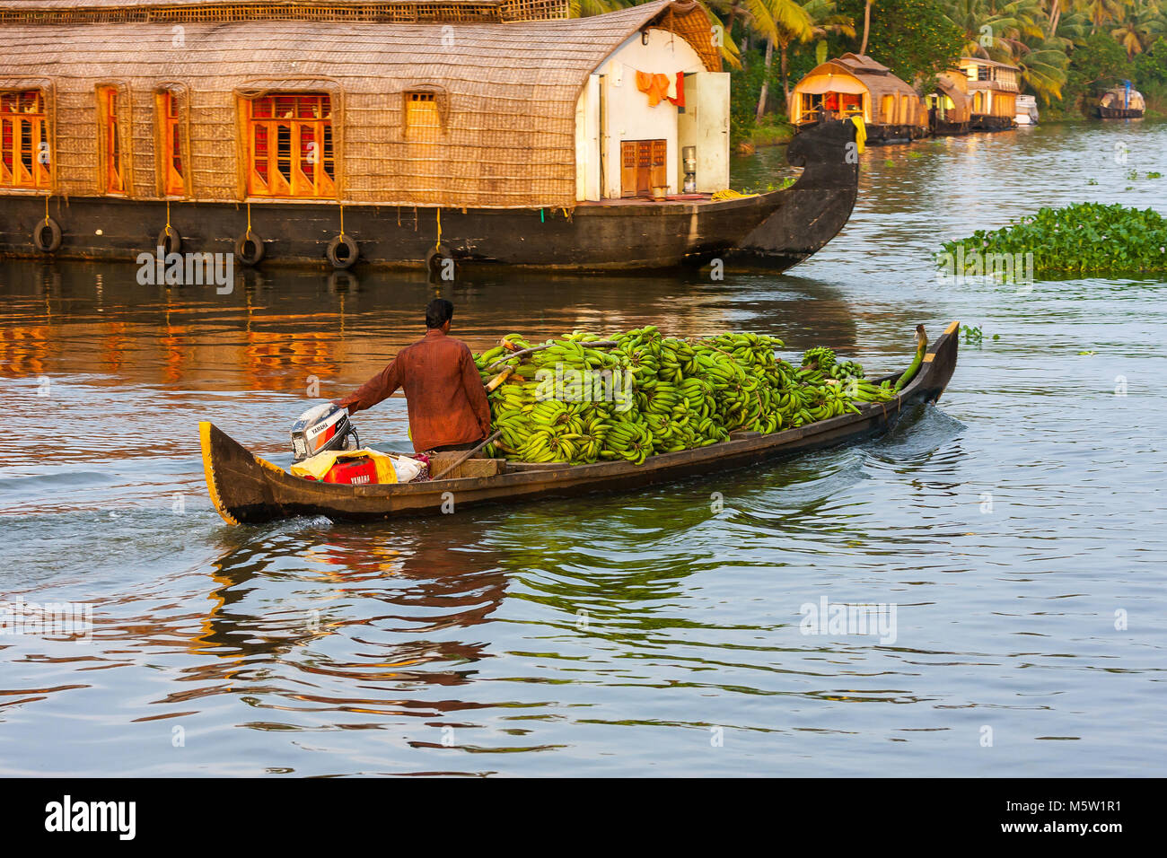 Transporting a load of  fresh bananas on a canoe on the backwater canal system near Alleppey in Kerala, India. Stock Photo