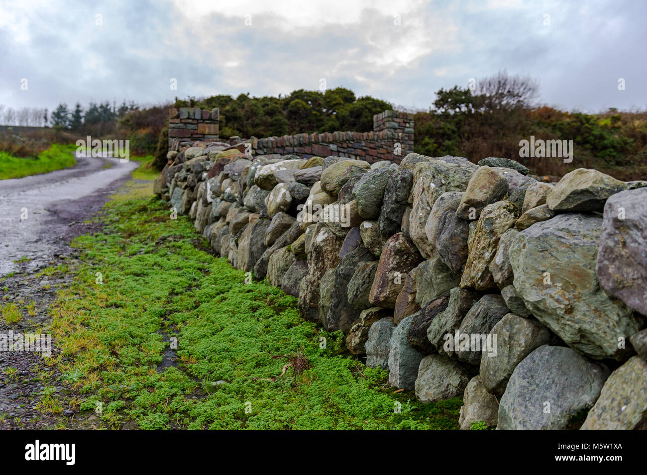 Traditional dry stone wall in West Cork, Ireland with copy space. Stock Photo