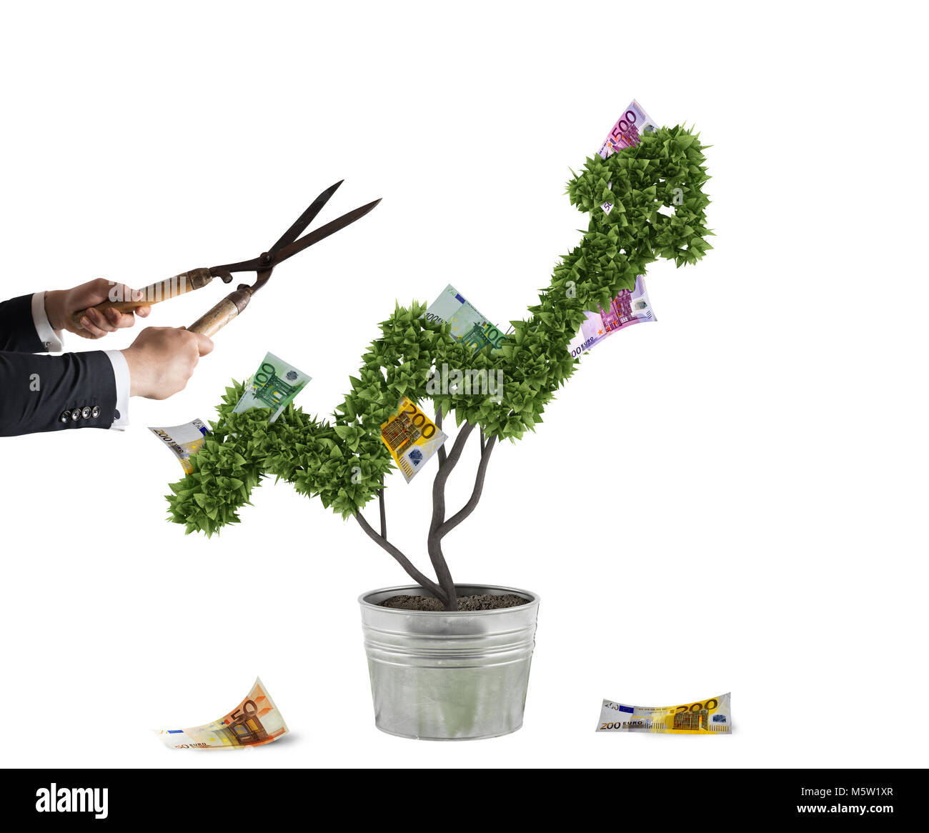 Money tree grow hi-res stock photography and images - Alamy