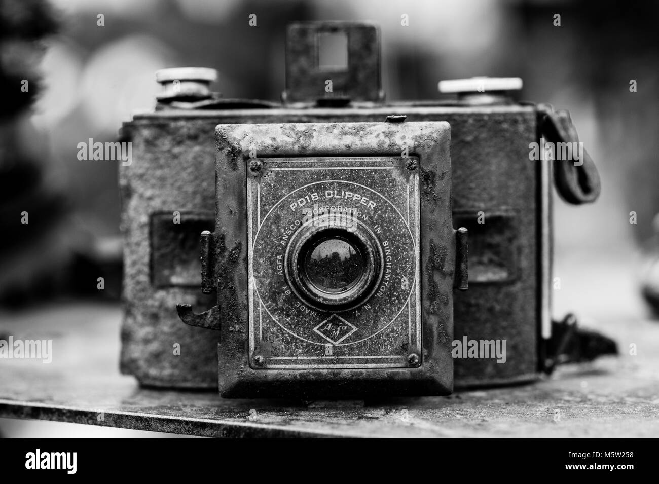 Antique camera in front yard of antique dealers home Stock Photo