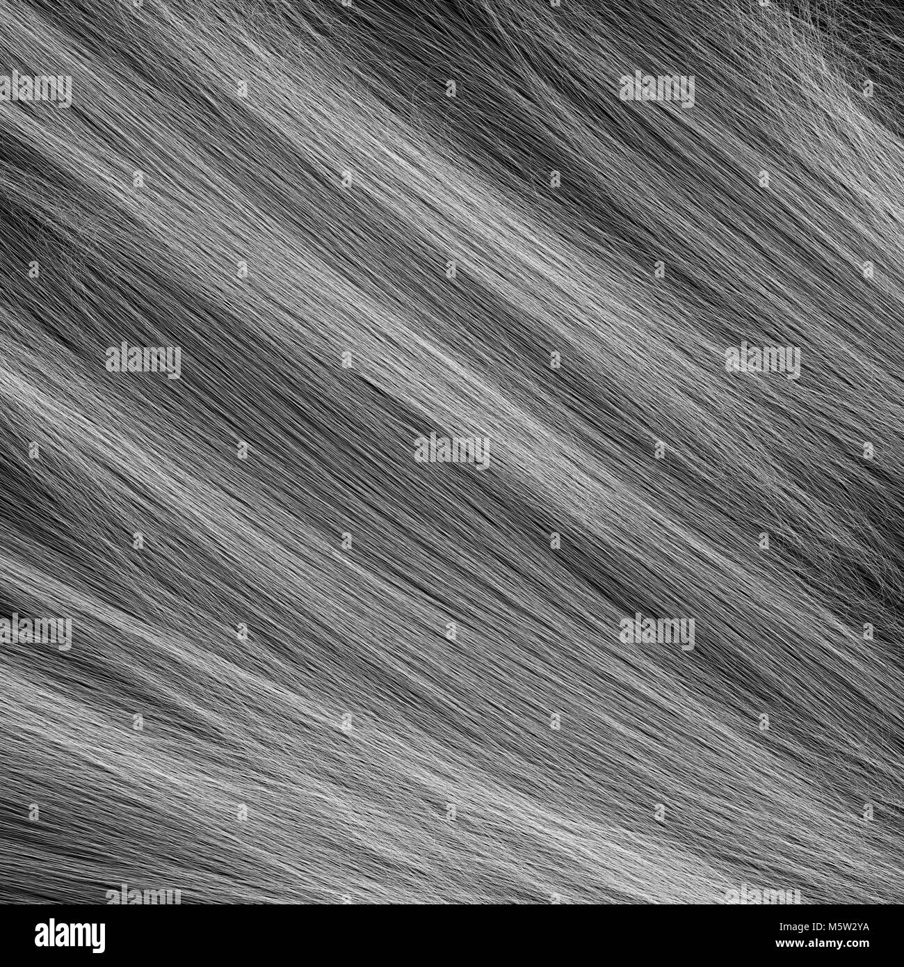 Grey blonde hair Black and White Stock Photos & Images - Alamy