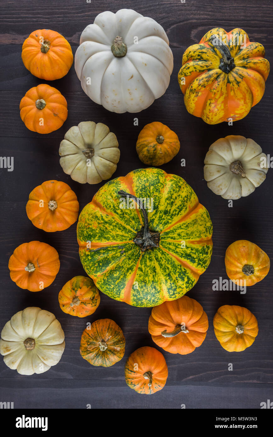 Collection of Pumpkins on Dark Background From Above Stock Photo - Alamy