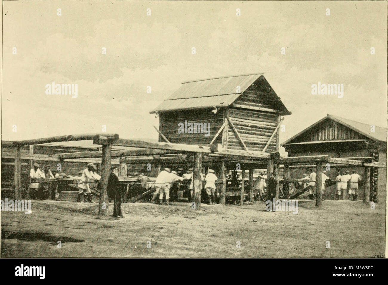 Side lights on siberia hi res stock photography and images Alamy