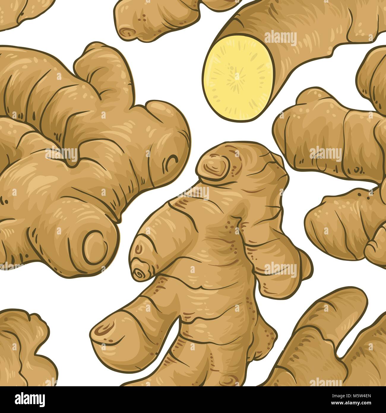 ginger plant vector pattern on white background Stock Vector Image