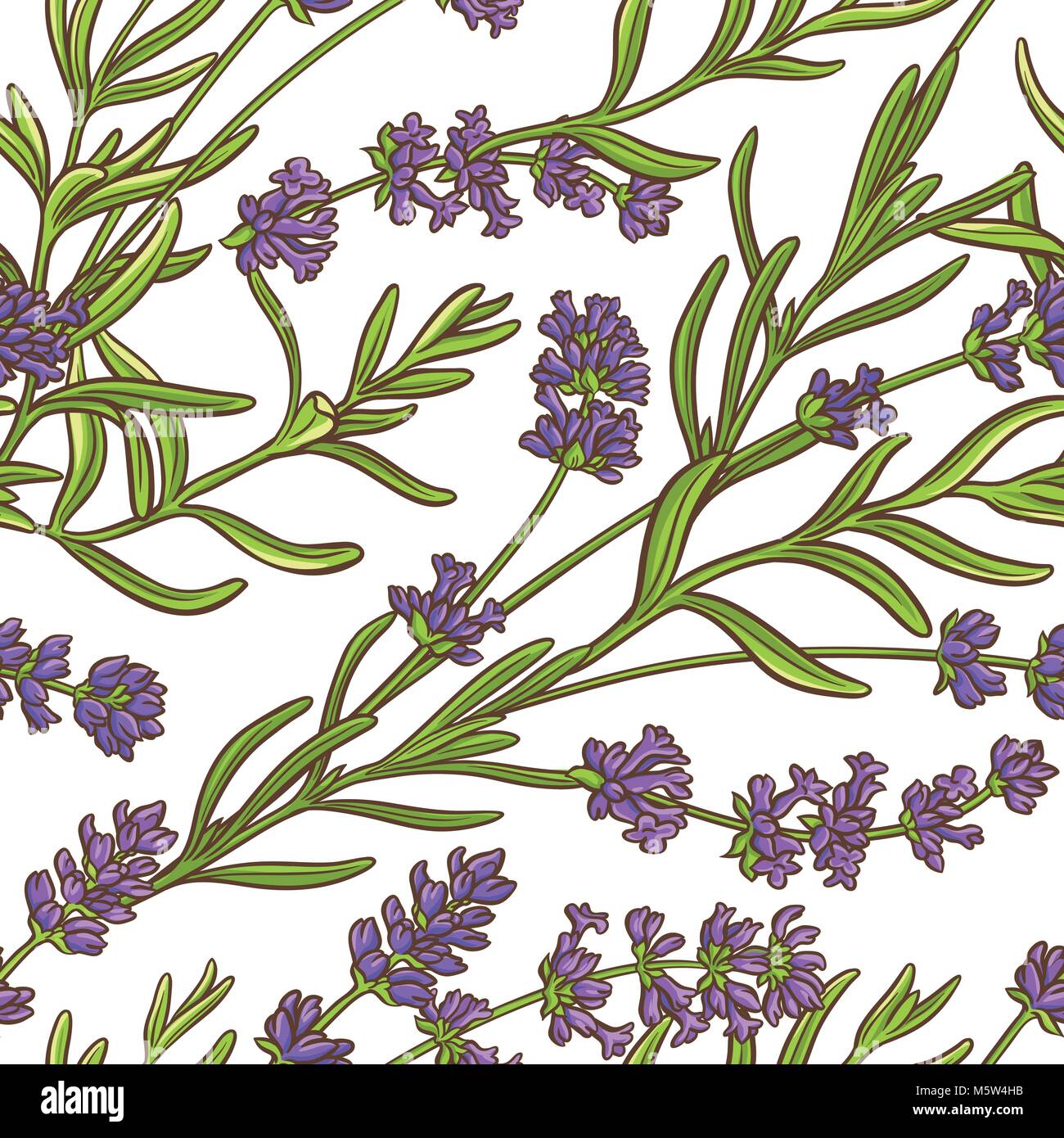 lavender plant vector pattern on white background Stock Vector
