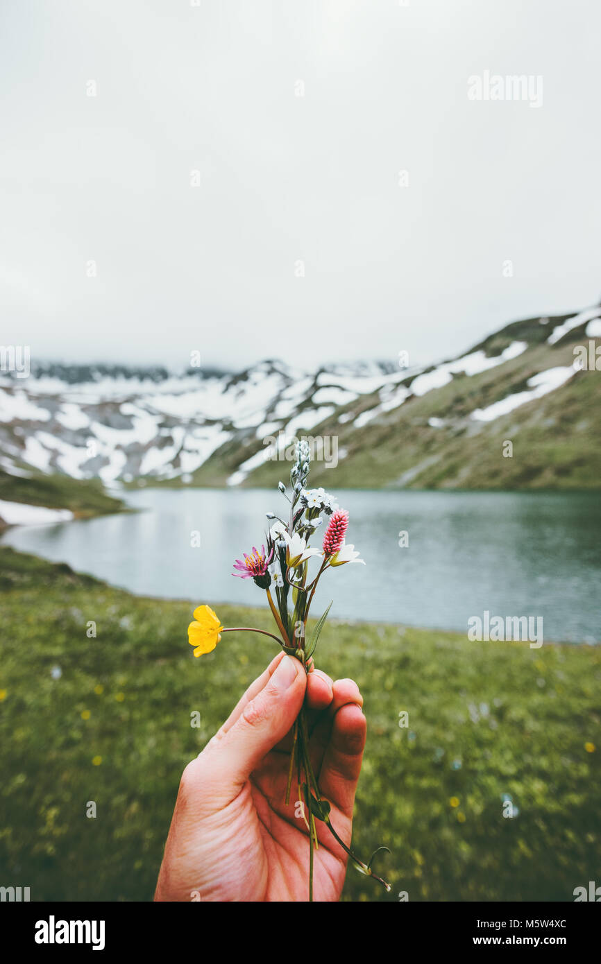 Hand holding flowers mountains and lake Landscape on background Summer Travel vacations and ecology concept Stock Photo