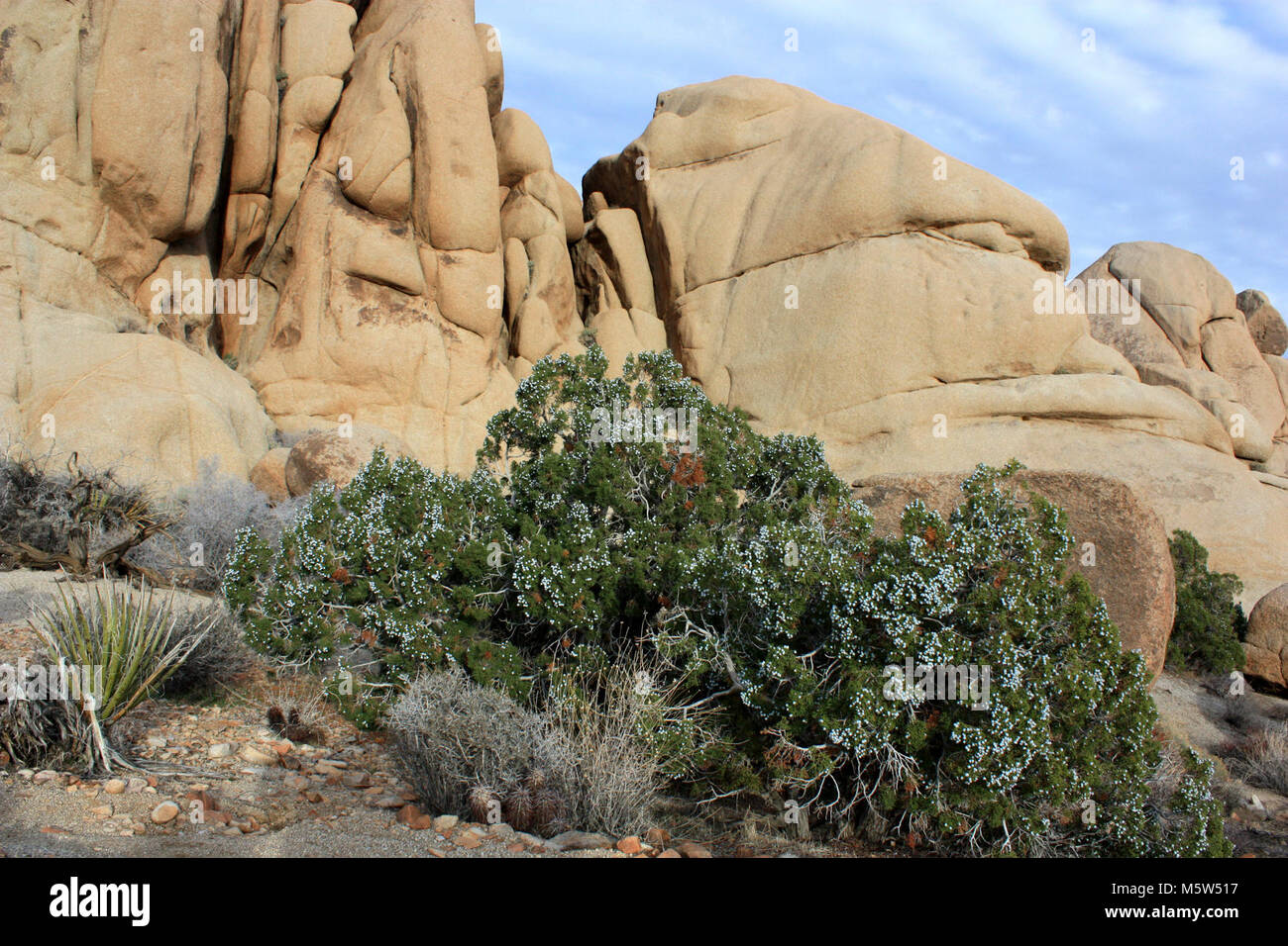 Split Rock Loop Trail Stock Photo Alamy