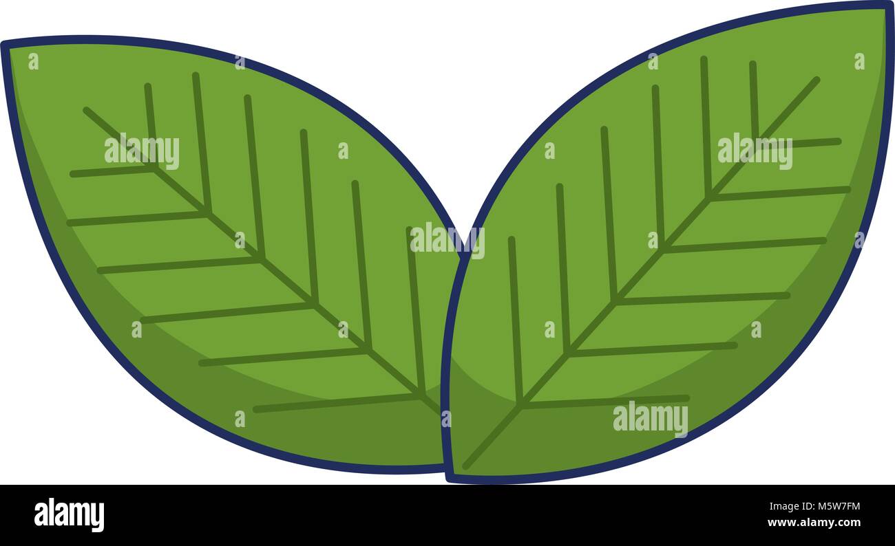 leafs plant ecology icon vector illustration design Stock Vector Image ...