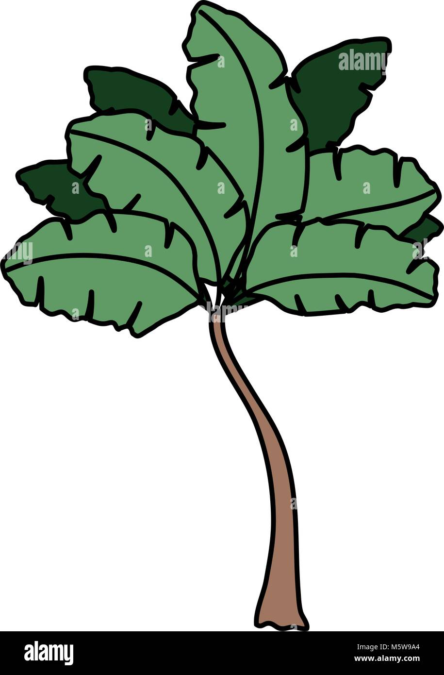tropical tree palm icon vector illustration design Stock Vector Image ...