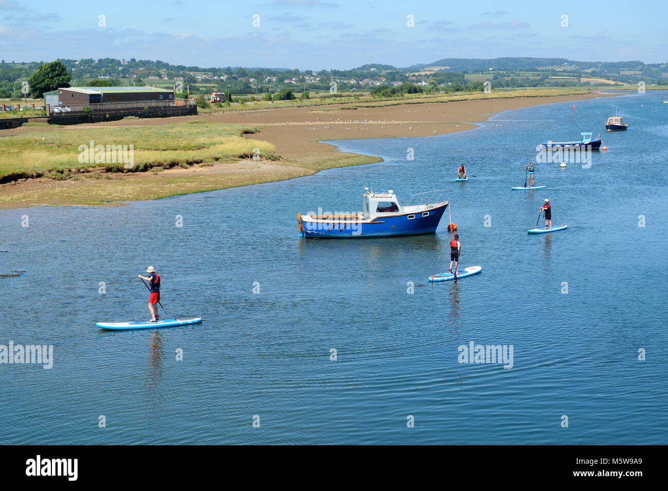 Group of people enjoy stand up paddle boarding on the river Axe near