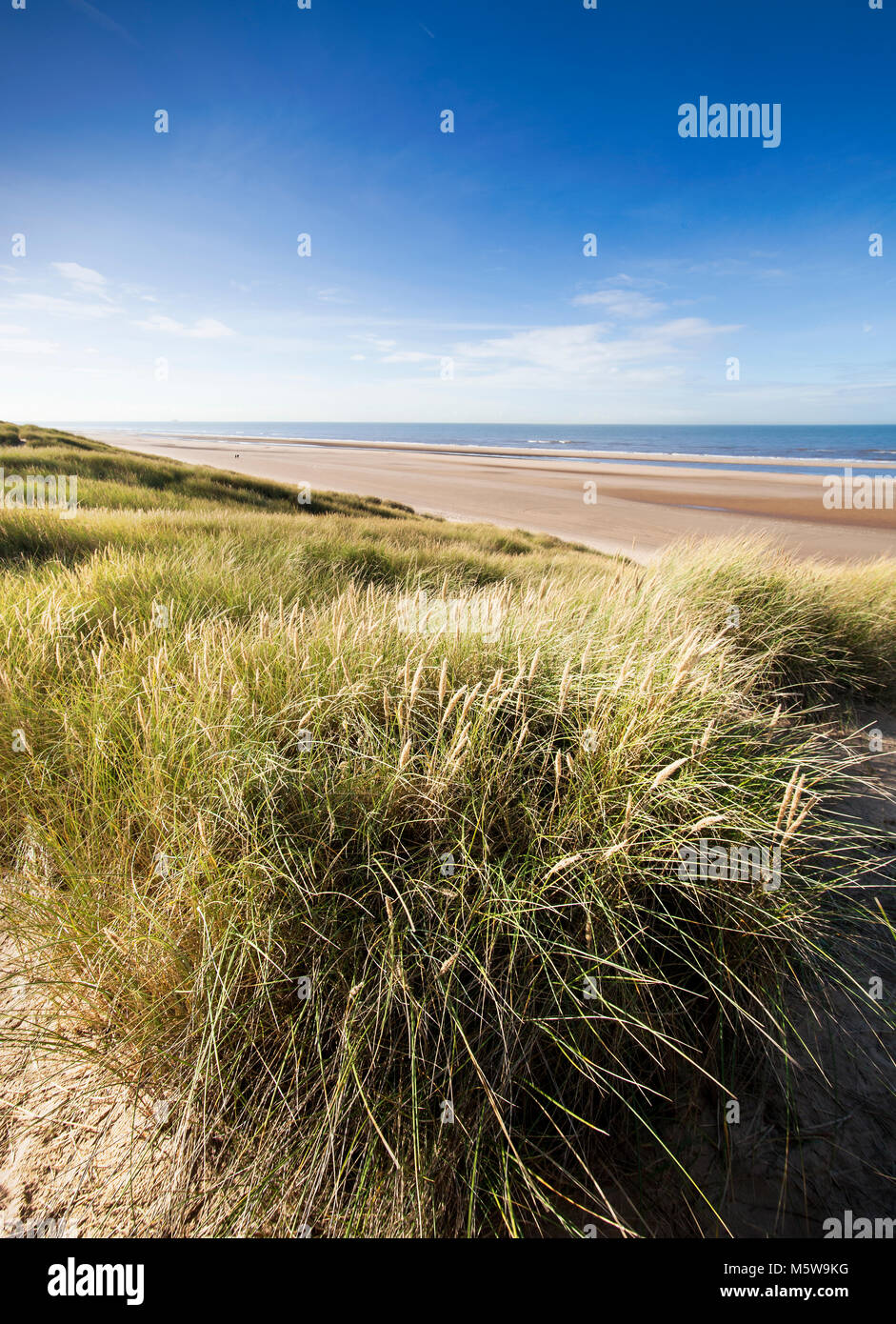 Sand dunes at Ainsdale, UK Stock Photo