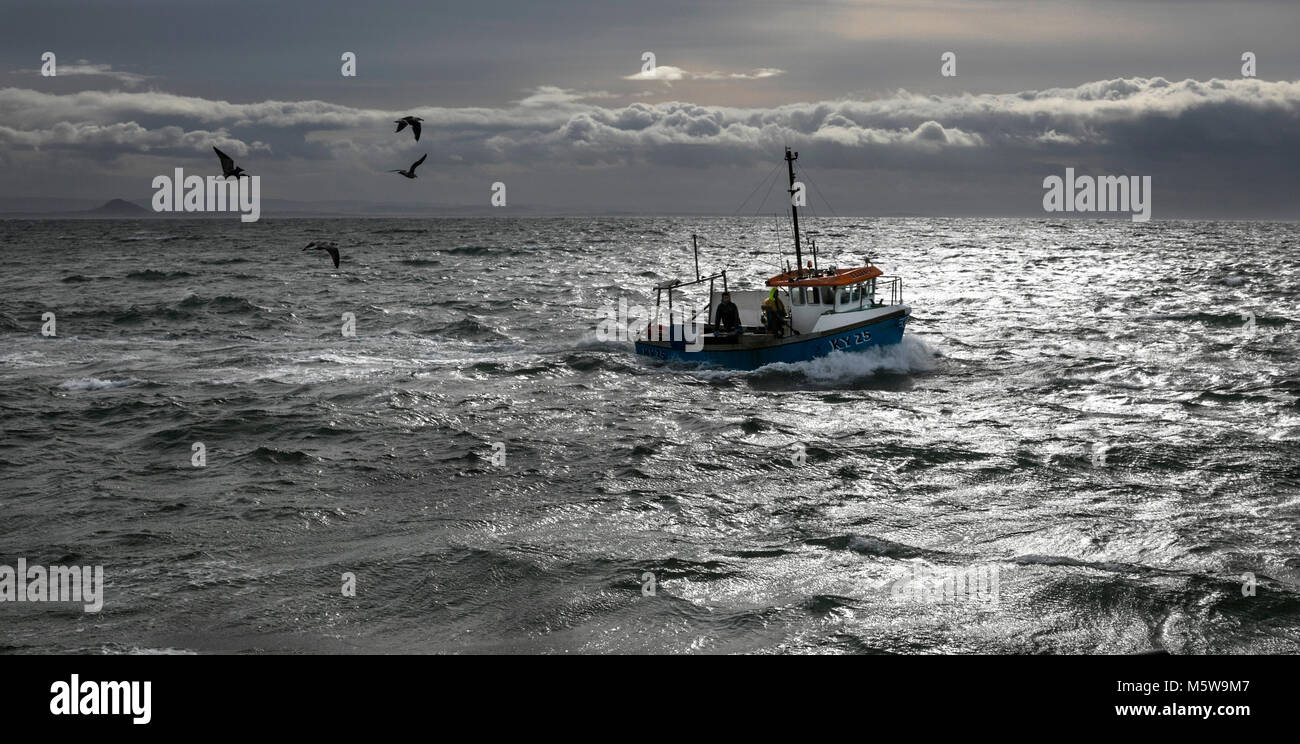 Fishing boat approaching Anstruther harbour, Fife Stock Photo