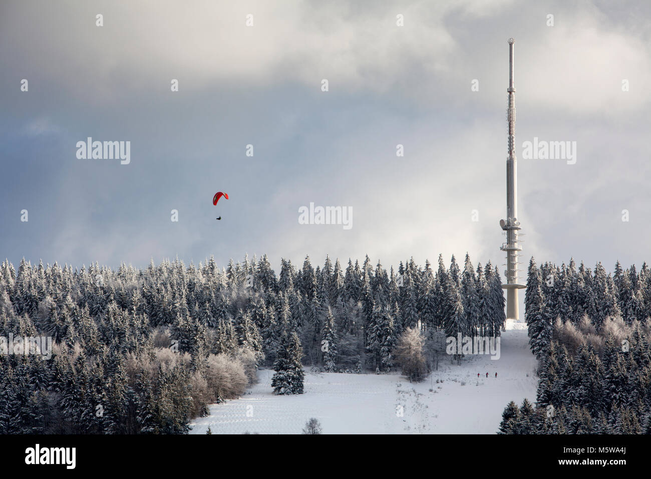 Telecommunications tower at the Ebbegebirge, near Reblin, Herscheid, North Rhine-Westphalia, Germany, Europe Stock Photo