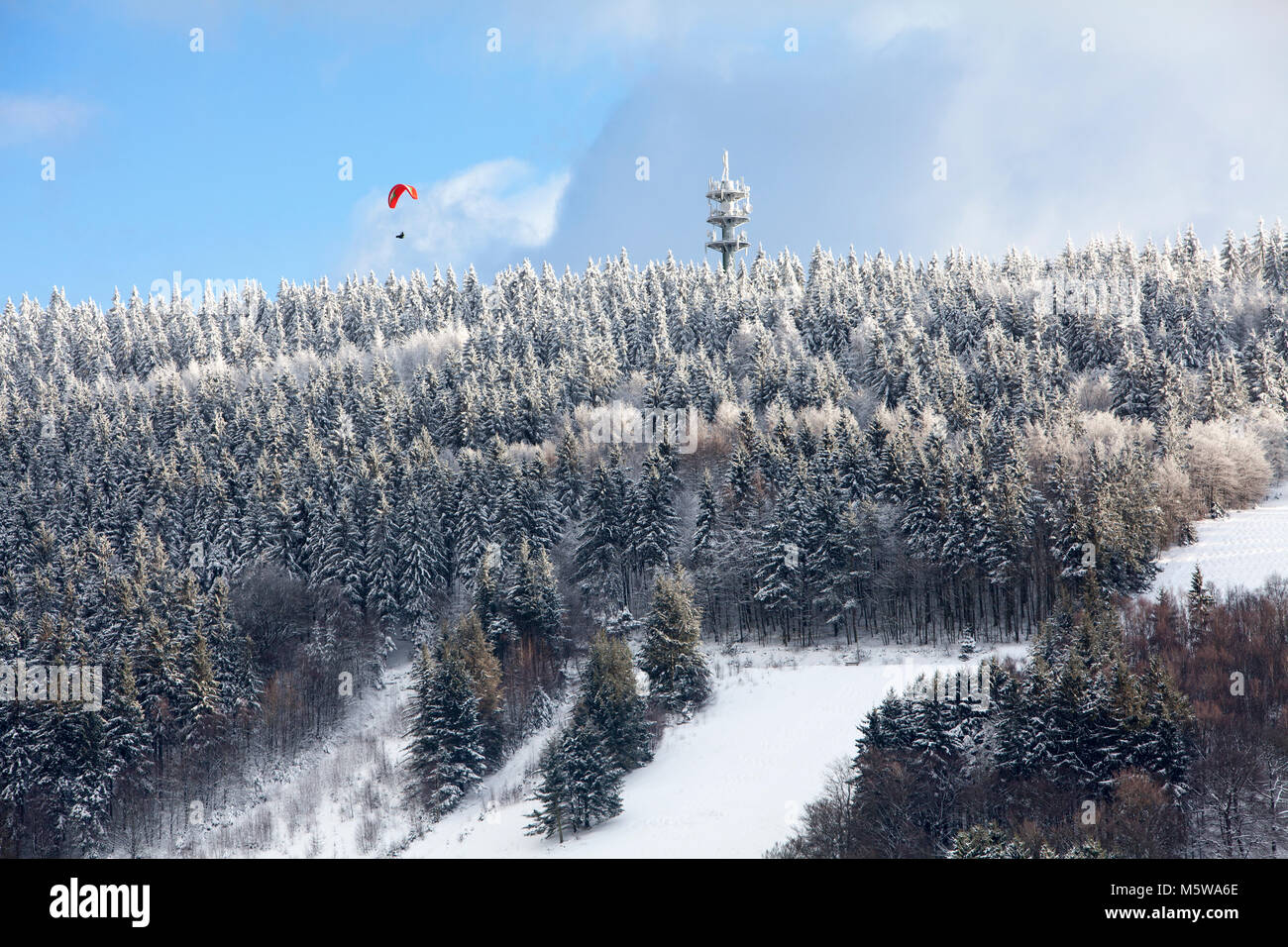 Telecommunications tower at the Ebbegebirge, near Reblin, Herscheid, North Rhine-Westphalia, Germany, Europe Stock Photo