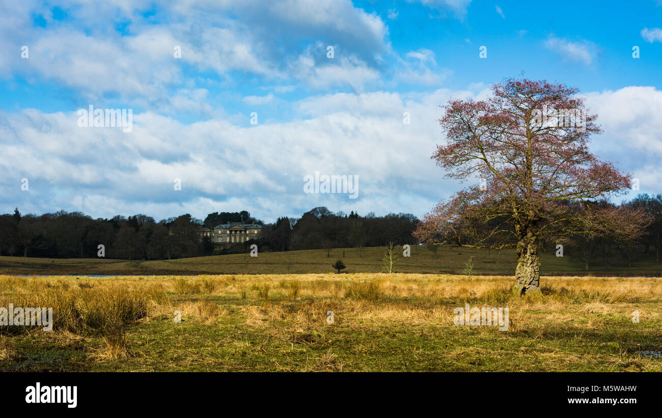 A view on Tatton Park mansion as seen from the lake side. Stock Photo