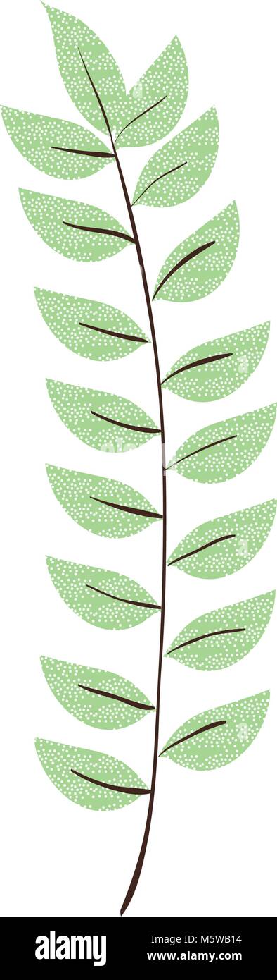 tropical leaf palm icon Stock Vector Image & Art - Alamy