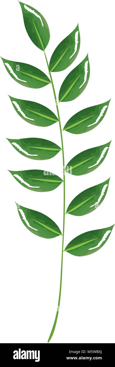 tropical leaf palm icon Stock Vector Image & Art - Alamy