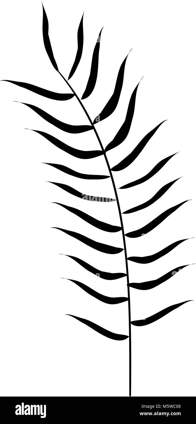 tropical leaf palm icon Stock Vector Image & Art - Alamy
