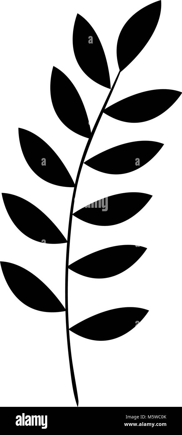 tropical leaf palm icon Stock Vector Image & Art - Alamy