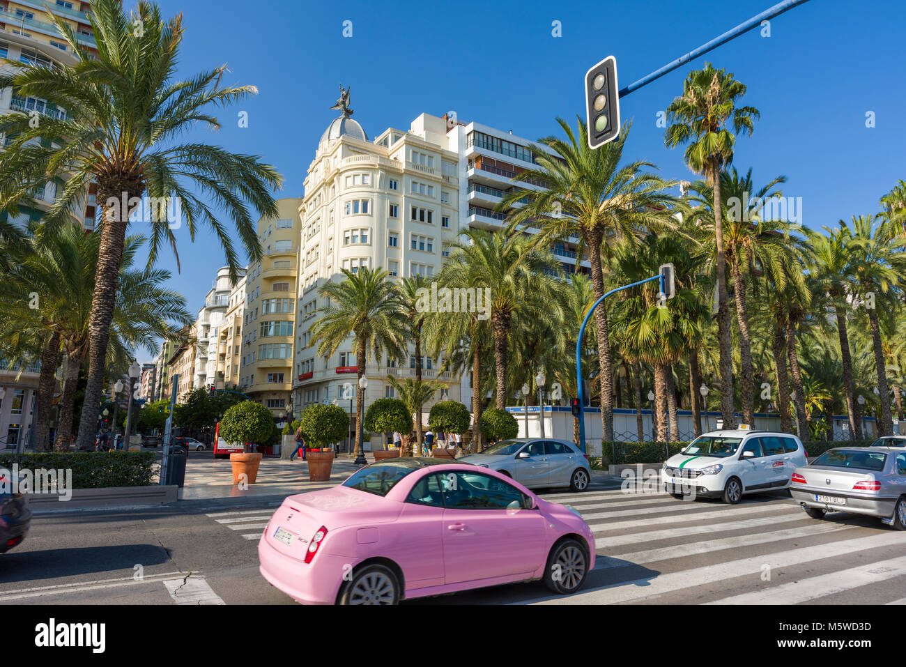 Cars on a pedestrian crossing in a busy street in the city of Alicante, Spain Stock Photo Alamy