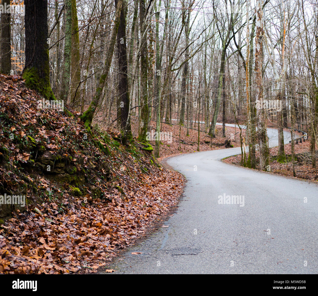 Winding Road to nowhere. Stock Photo